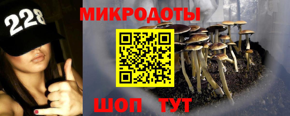 Псилоцибиновые грибы MAGIC MUSHROOMS  Вход с VPN  Вольск  Галлюциногенные грибы мухоморы 